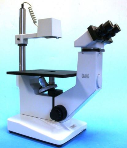Hund Wilovert 30 Series 8 Inverted Microscope